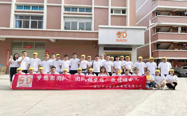 “夢想聚團隊，團隊鑄夢想”順電2021年旅游圓滿結(jié)束